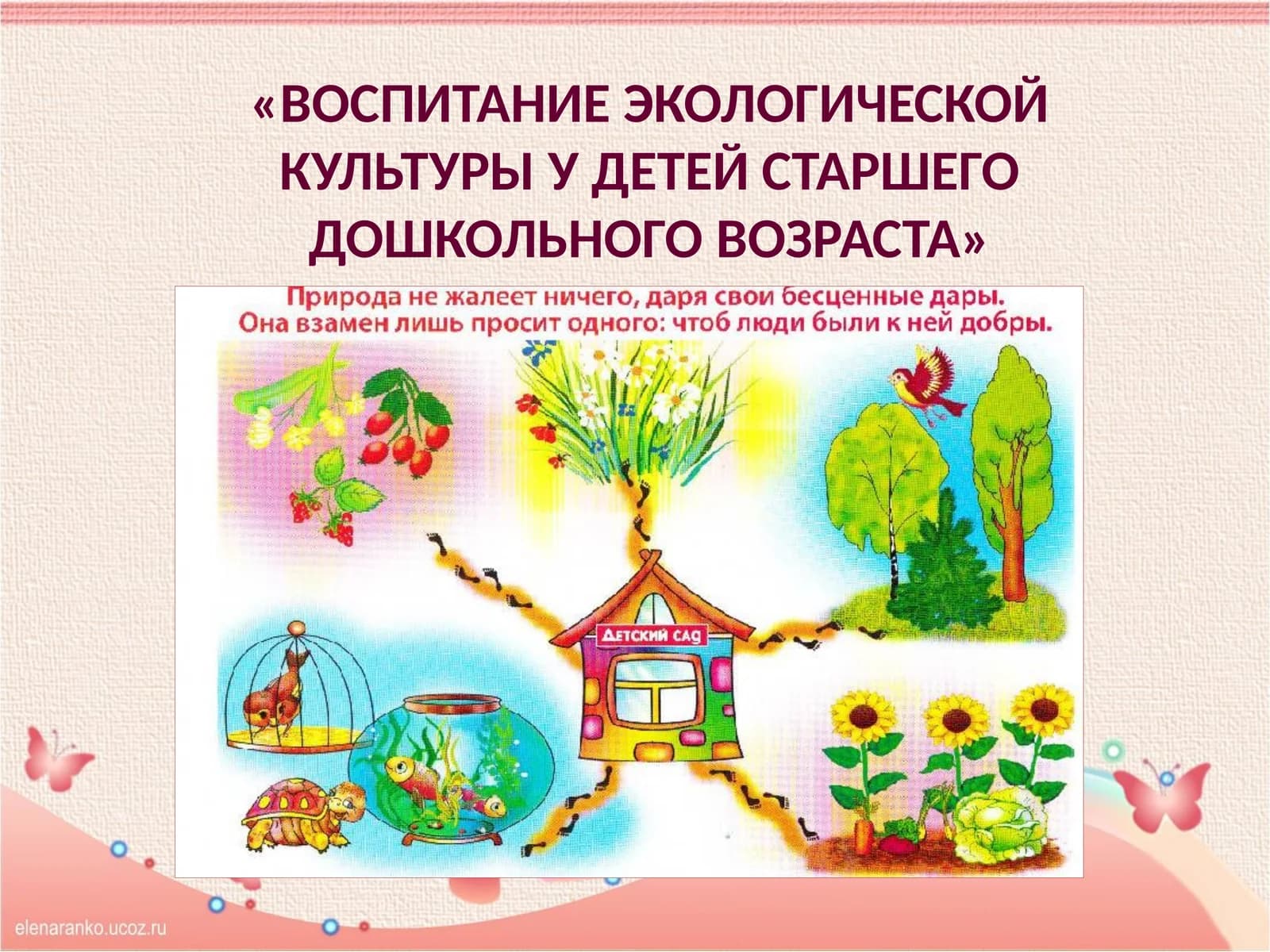 ВОСПИТАНИЕ ЭКОЛОГИЧЕСКОЙ КУЛЬТУРЫ У ДЕТЕЙ СТАРШЕГО ДОШКОЛЬНОГО ВОЗРАСТА