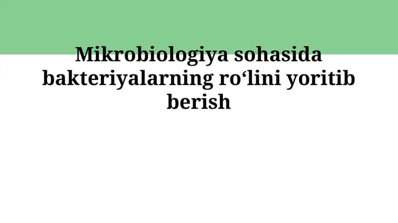 Bakteriyalar