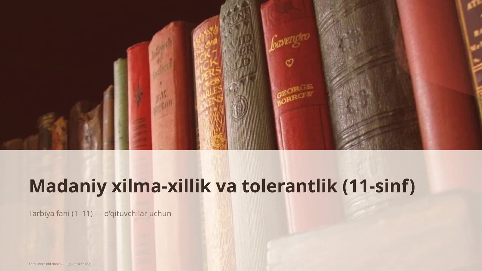 Madaniy xilma-xillik va tolerantlik (11-sinf)