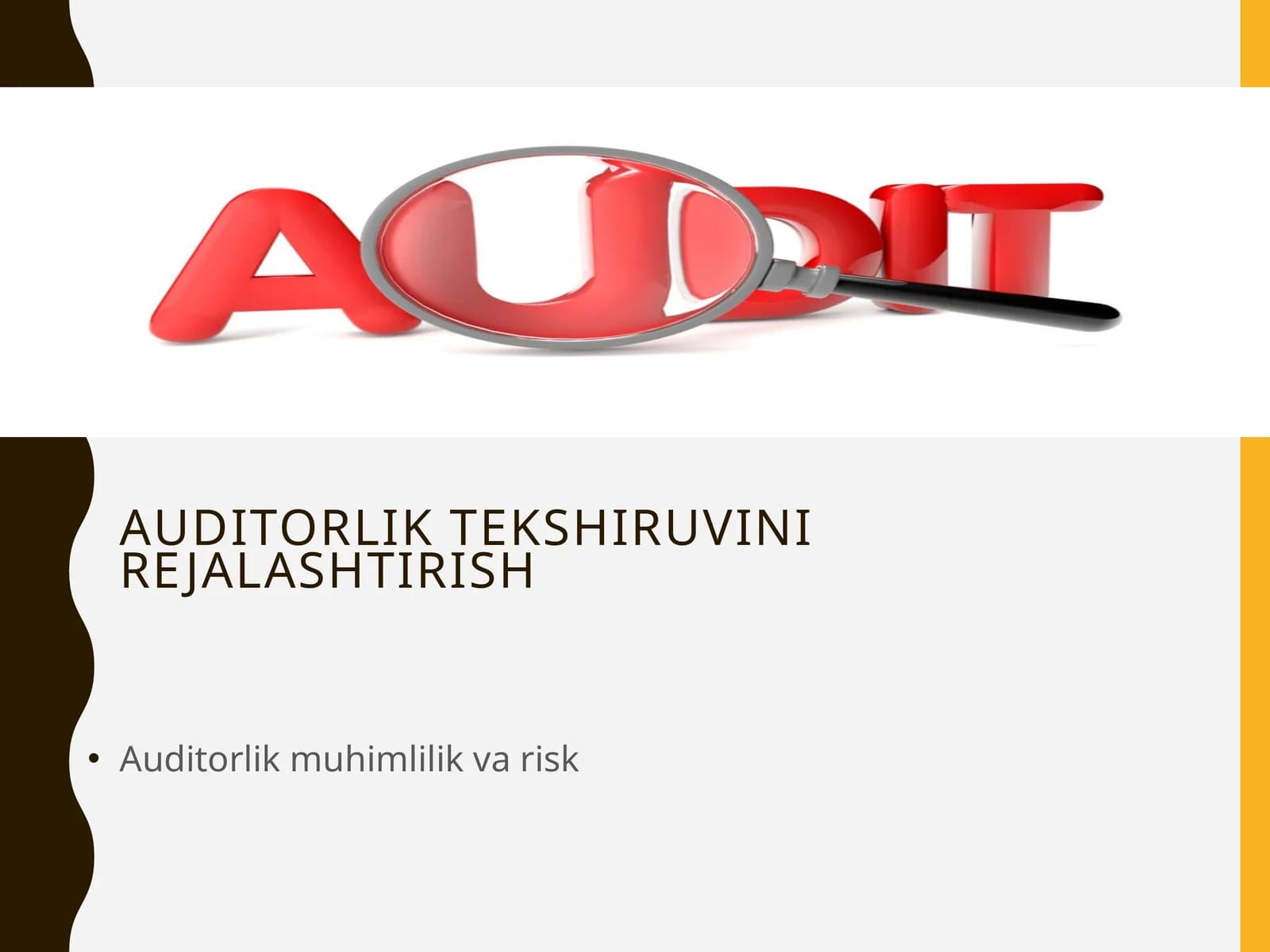 Auditorlik tekshiruvi nirejalashtirish