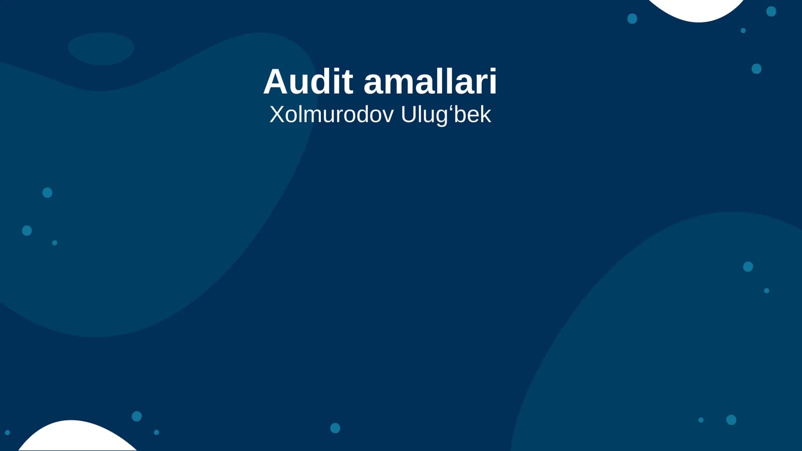 Audit amallari