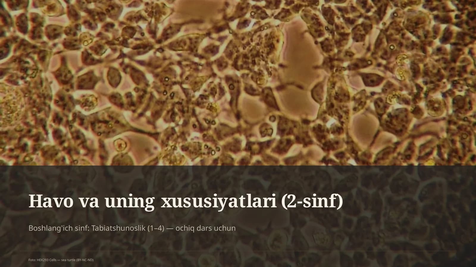 Havo va uning xususiyatlari (2-sinf)