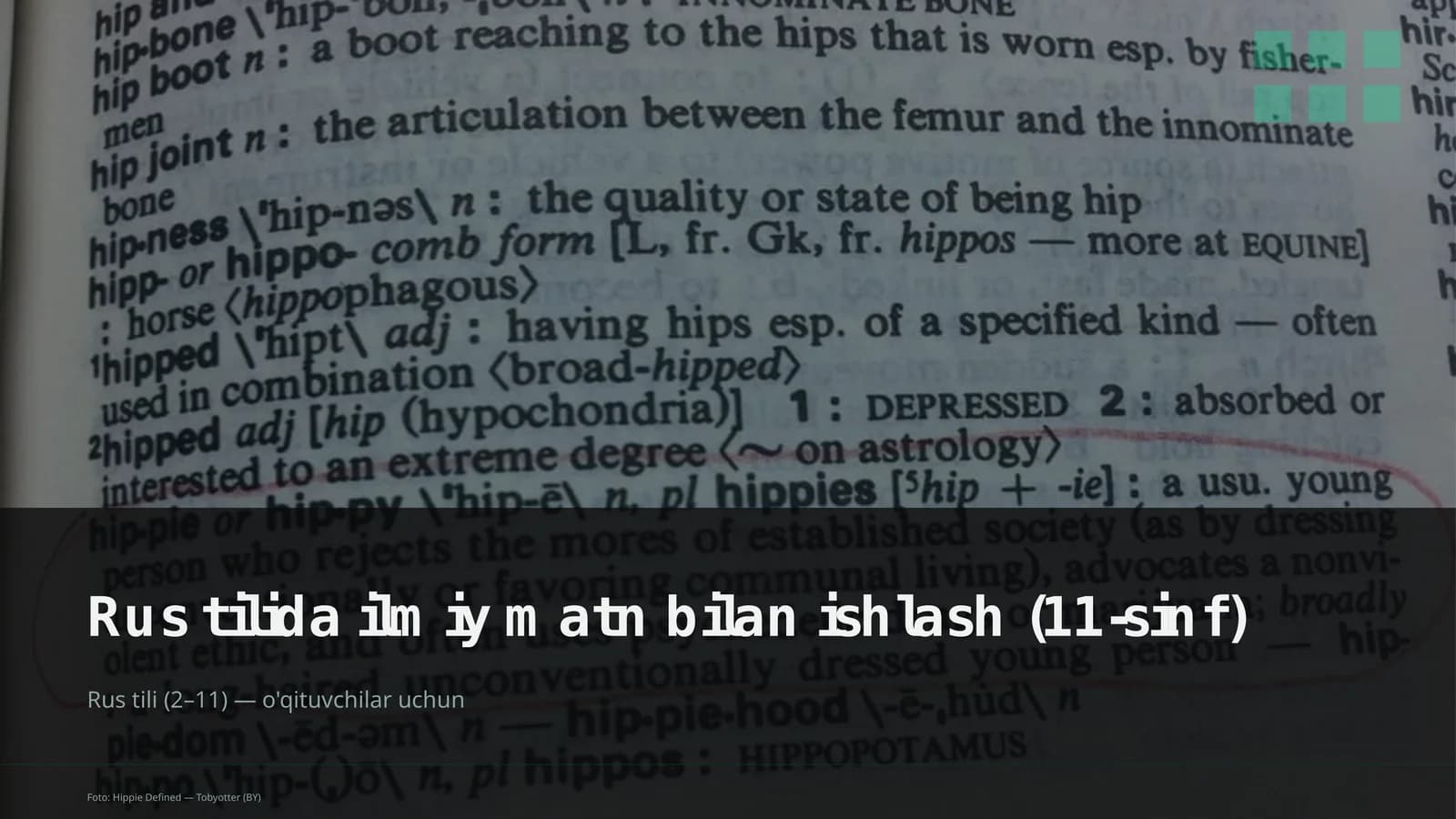 Rus tilida ilmiy matn bilan ishlash (11-sinf)