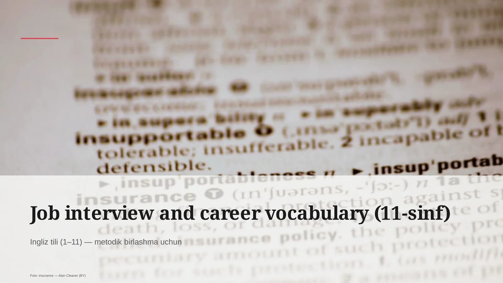 Job interview and career vocabulary (11-sinf) Ingliz tili (1– 11) — metodik birlashma uchun