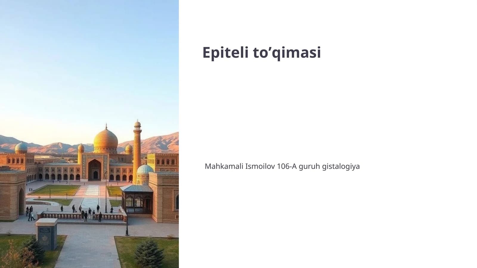 Epiteli toʼqimasi