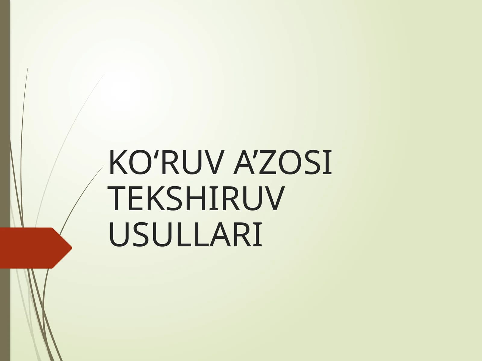 KO‘RUV A’ZOSI TEKSHIRUV USULLARI
