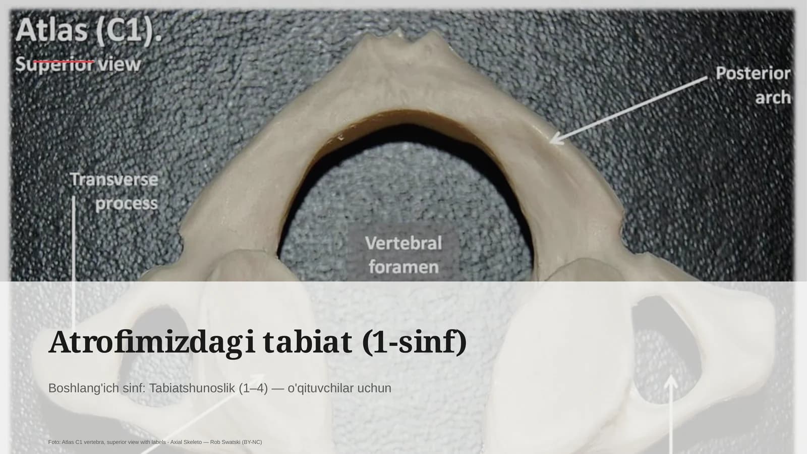Atrofimizdagi tabiat (1-sinf)