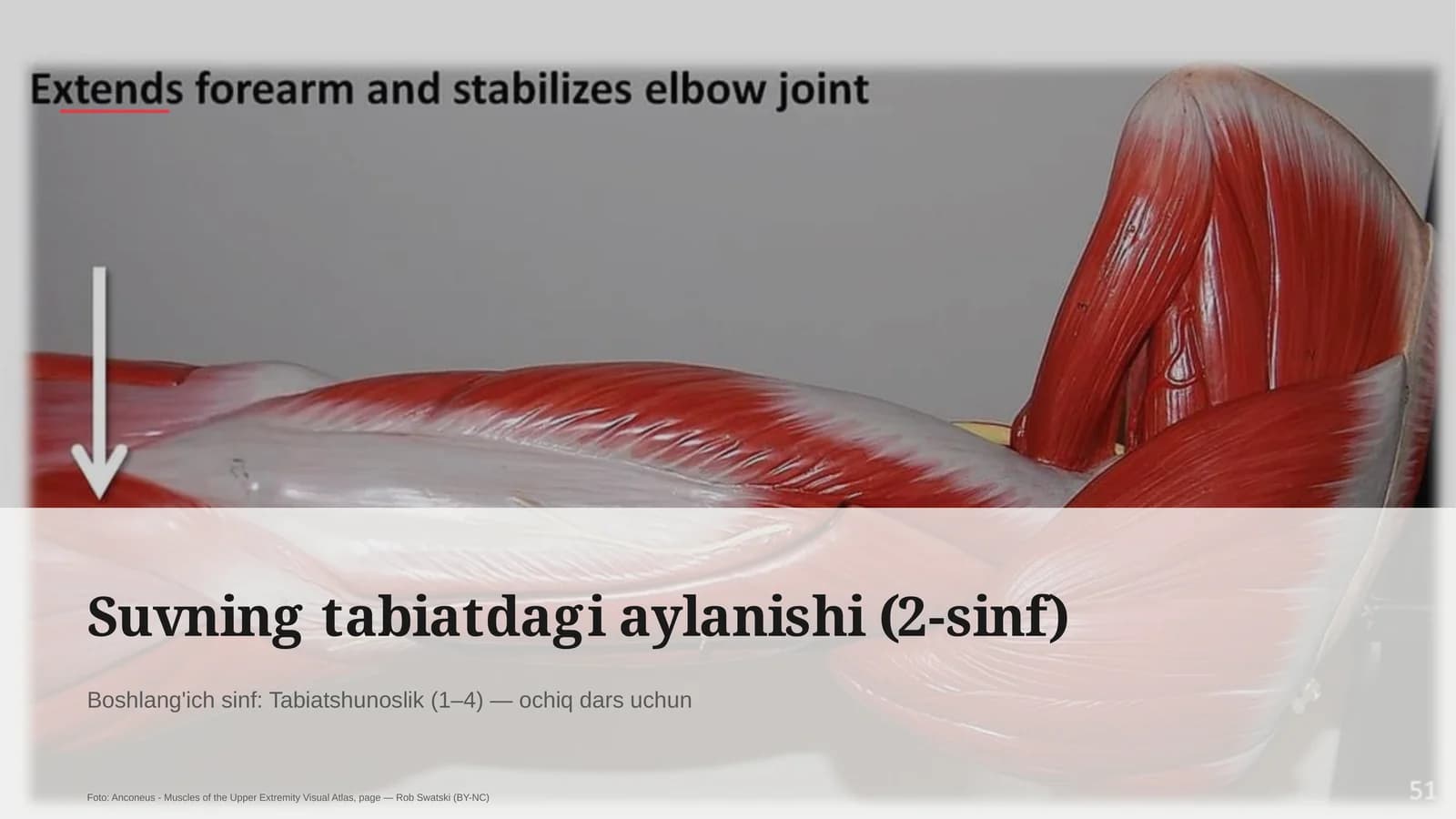Suvning tabiatdagi aylanishi (2-sinf)