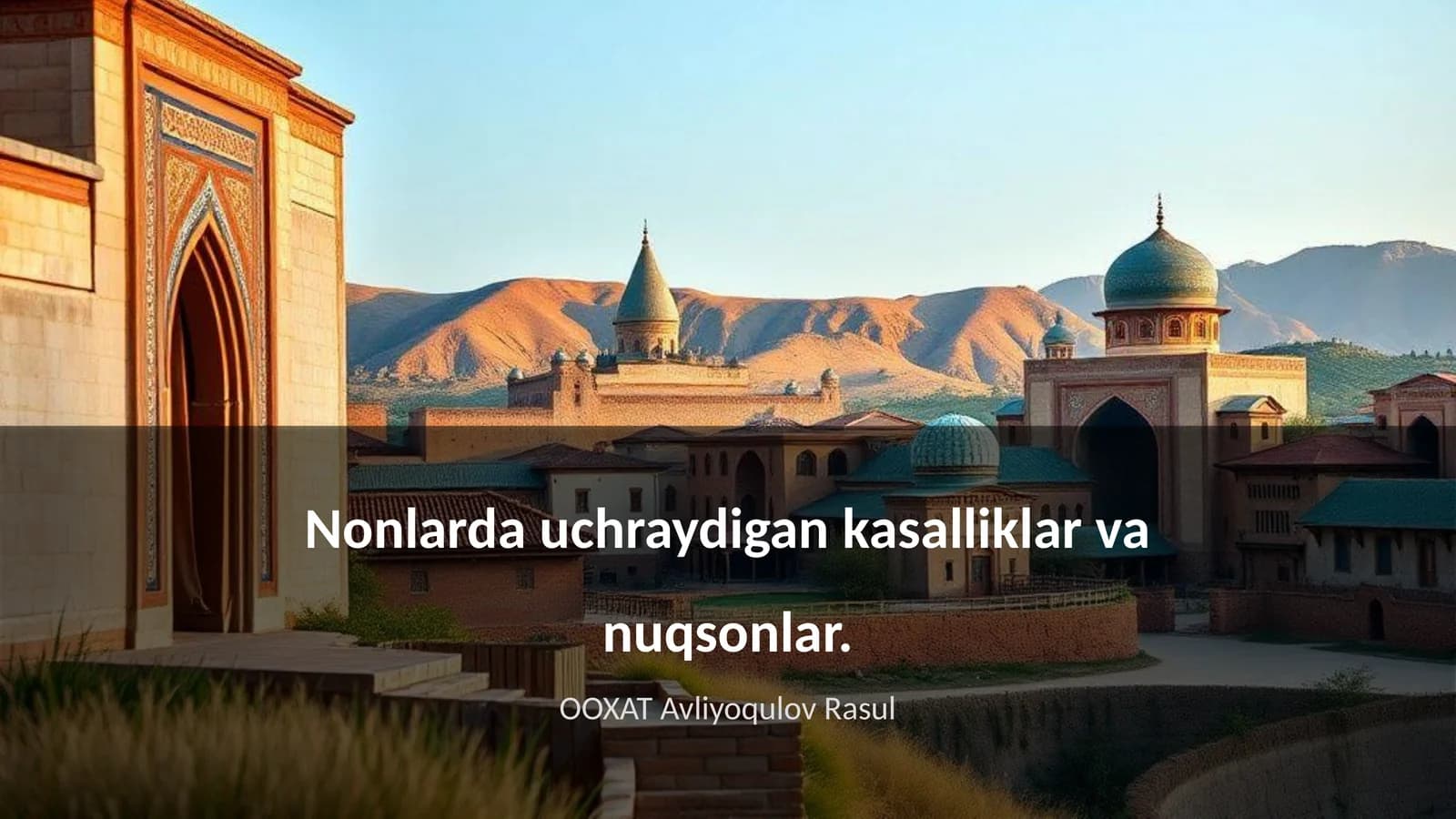 Nonlarda uchraydigan kasalliklar va nuqsonlar