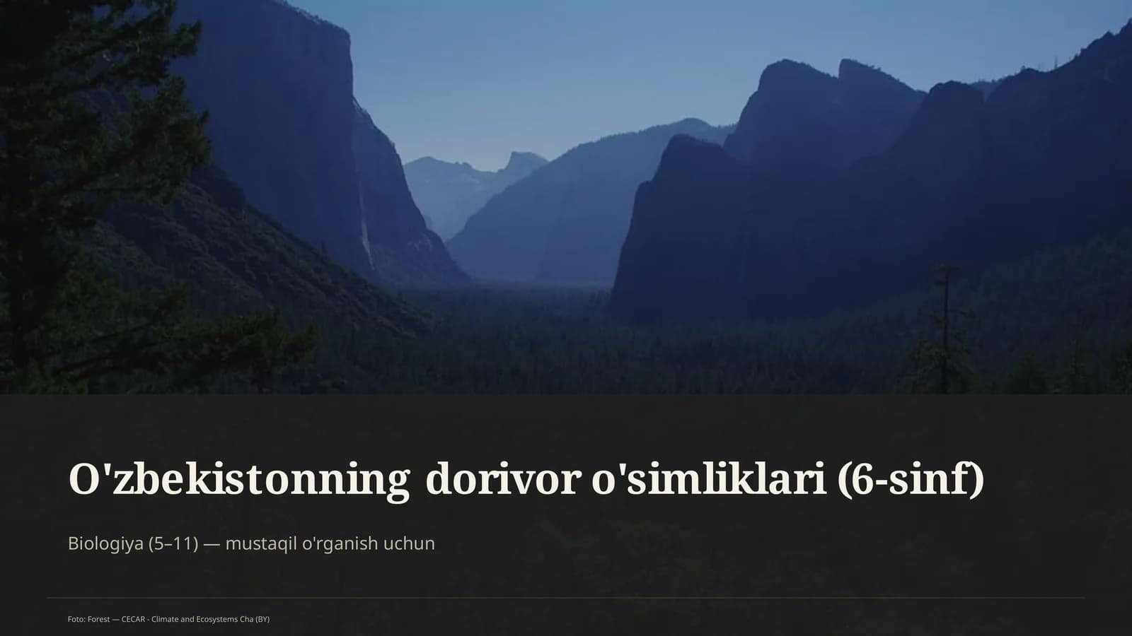 O'zbekistonning dorivor o'simliklari (6-sinf)