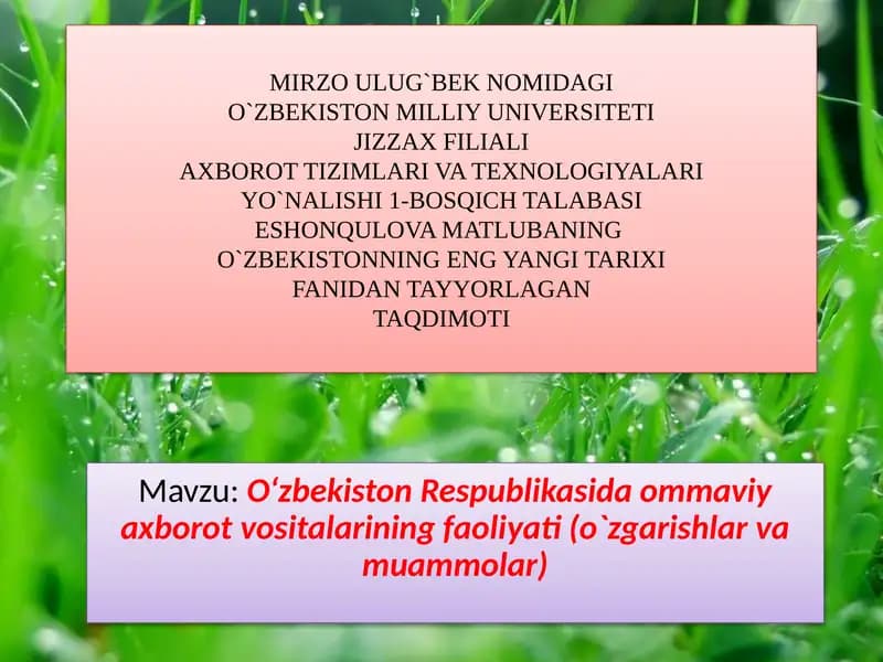 O‘zbekiston Respublikasida Ommaviy Axborot Vositalari Faoliyati (O‘zgarishlar va Muammolar)