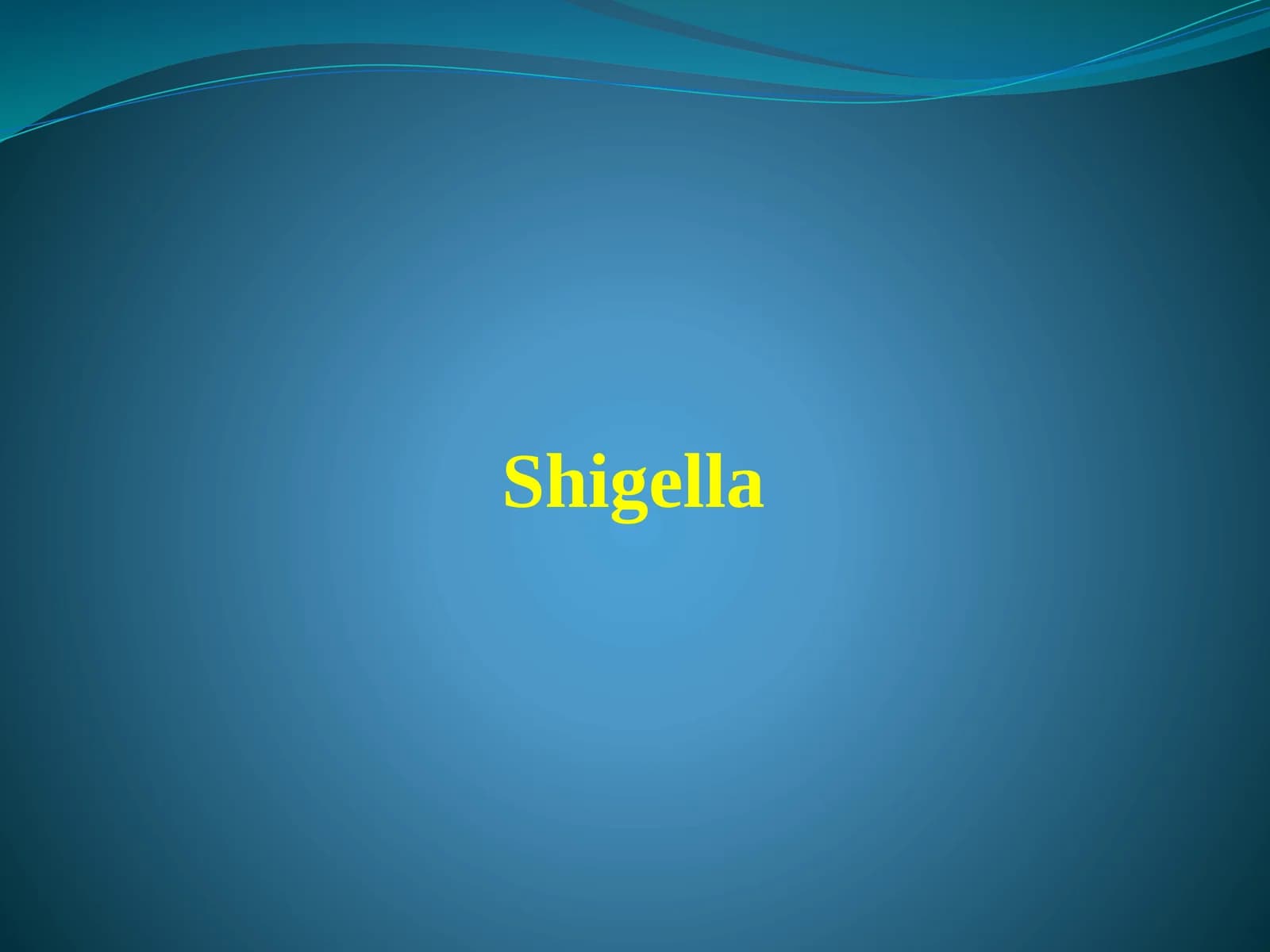 Shigella