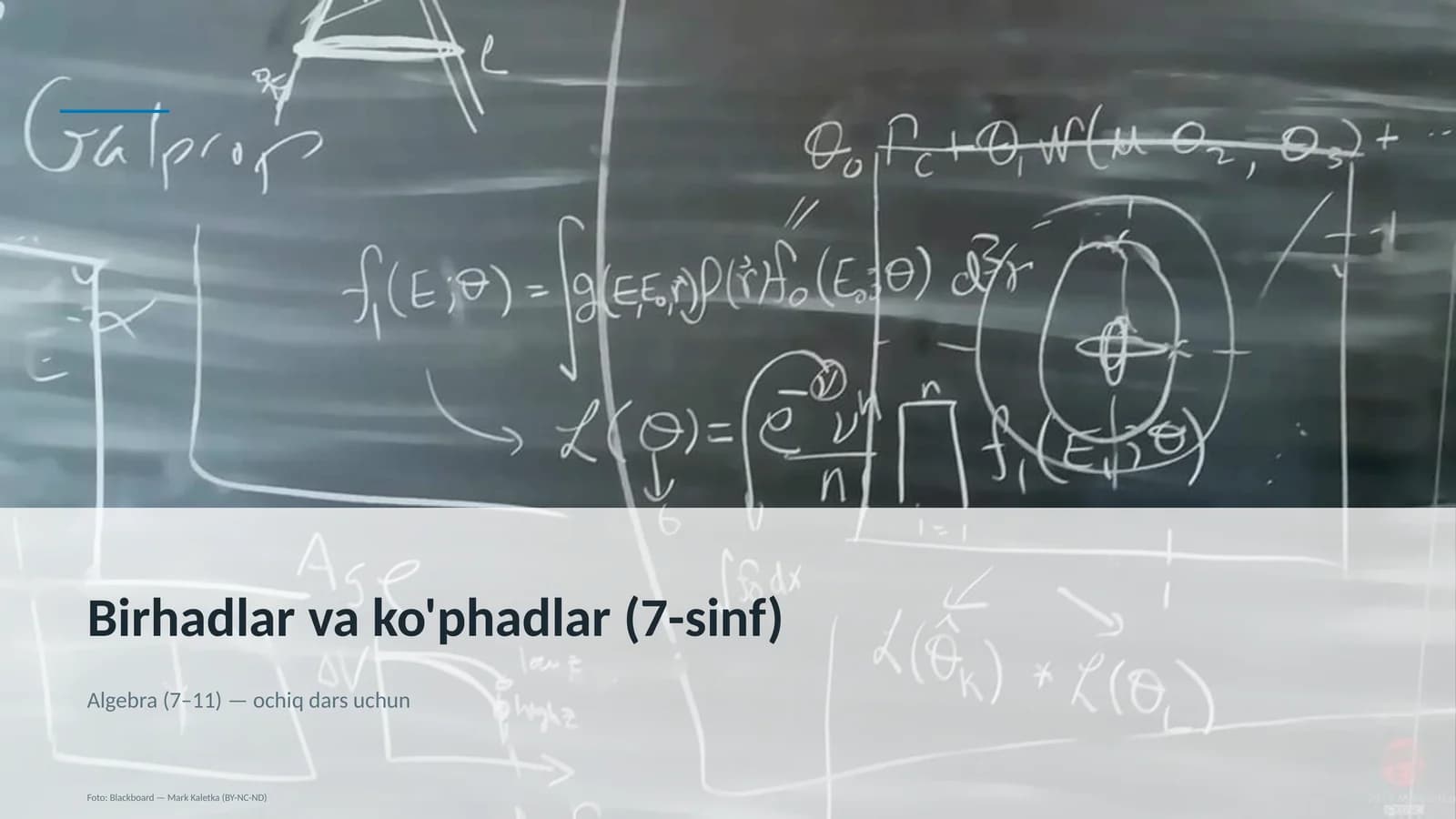 Birhadlar va ko'phadlar (7-sinf)