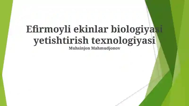 Efirmoyli ekinlar biologiyasi yetishtirish texnologiyasi