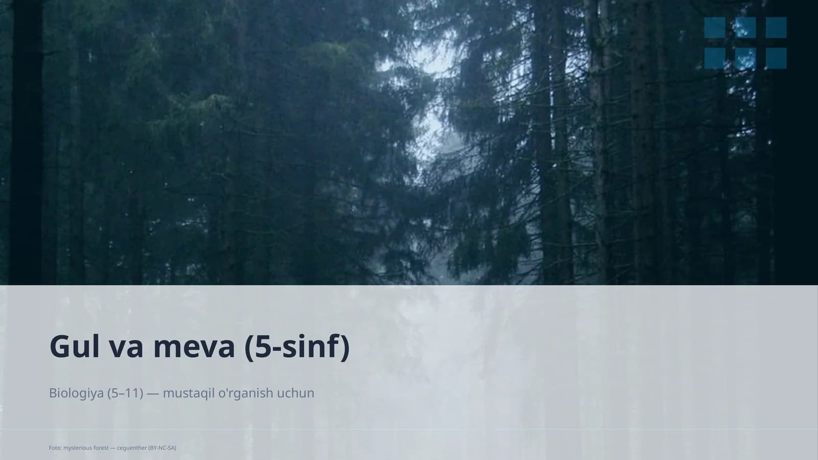 Gul va meva (5-sinf)