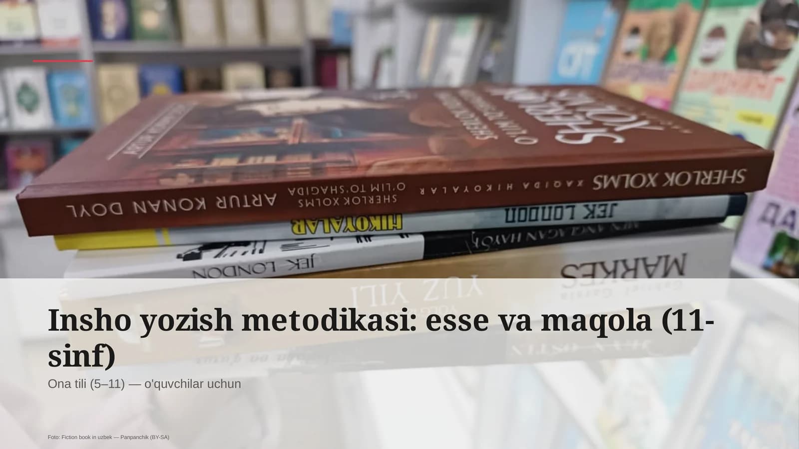 Insho yozish metodikasi: esse va maqola (11-sinf)