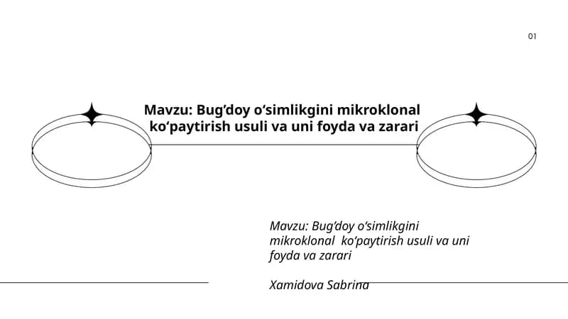 Bug’doy oʻsimlikgini mikroklonal koʻpaytirish usuli va uni foyda va zarari