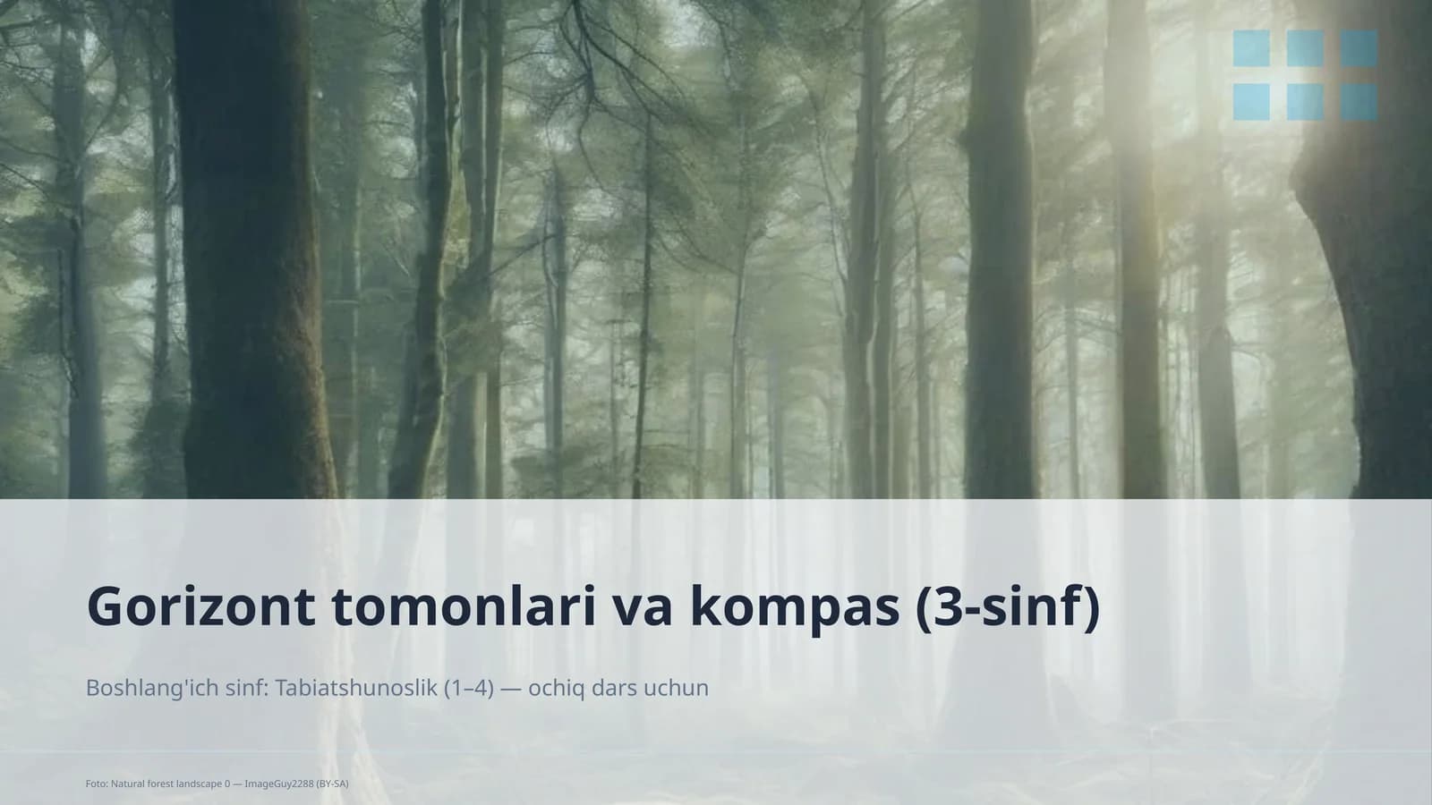Gorizont tomonlari va kompas (3-sinf)
