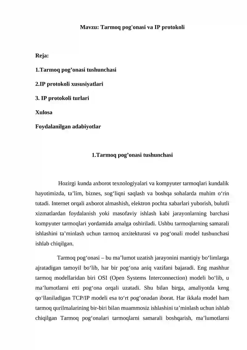 Tarmoq pog'onasi va IP protokoli