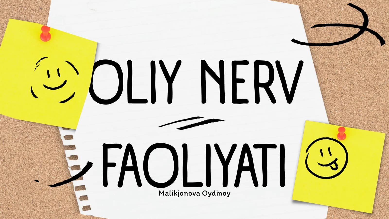 OLIY NERV FAOLIYATI