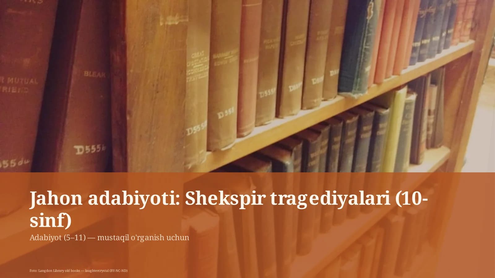 Shekspir tragediyalari (10-sinf)