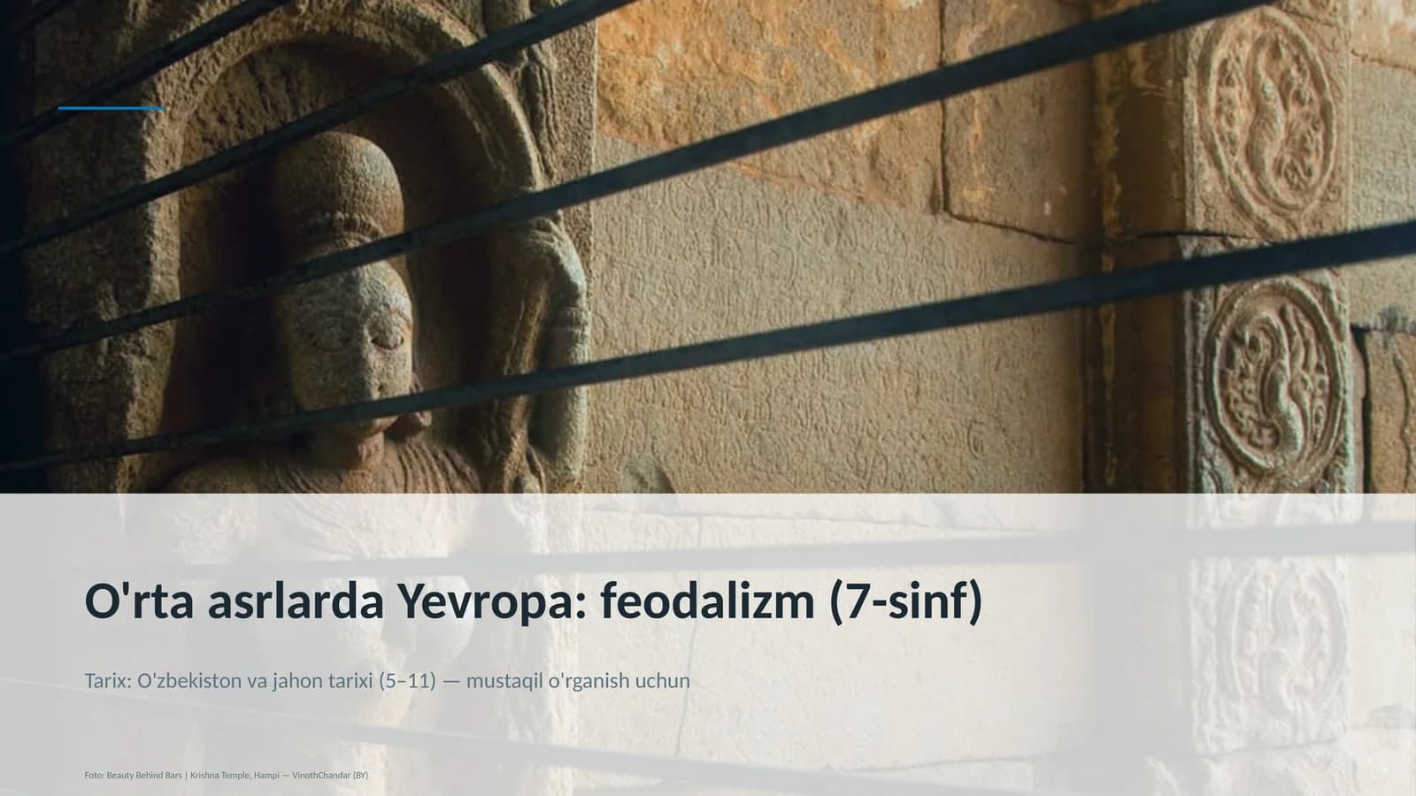 Yevropa tarixi: feodalizm (7-sinf)
