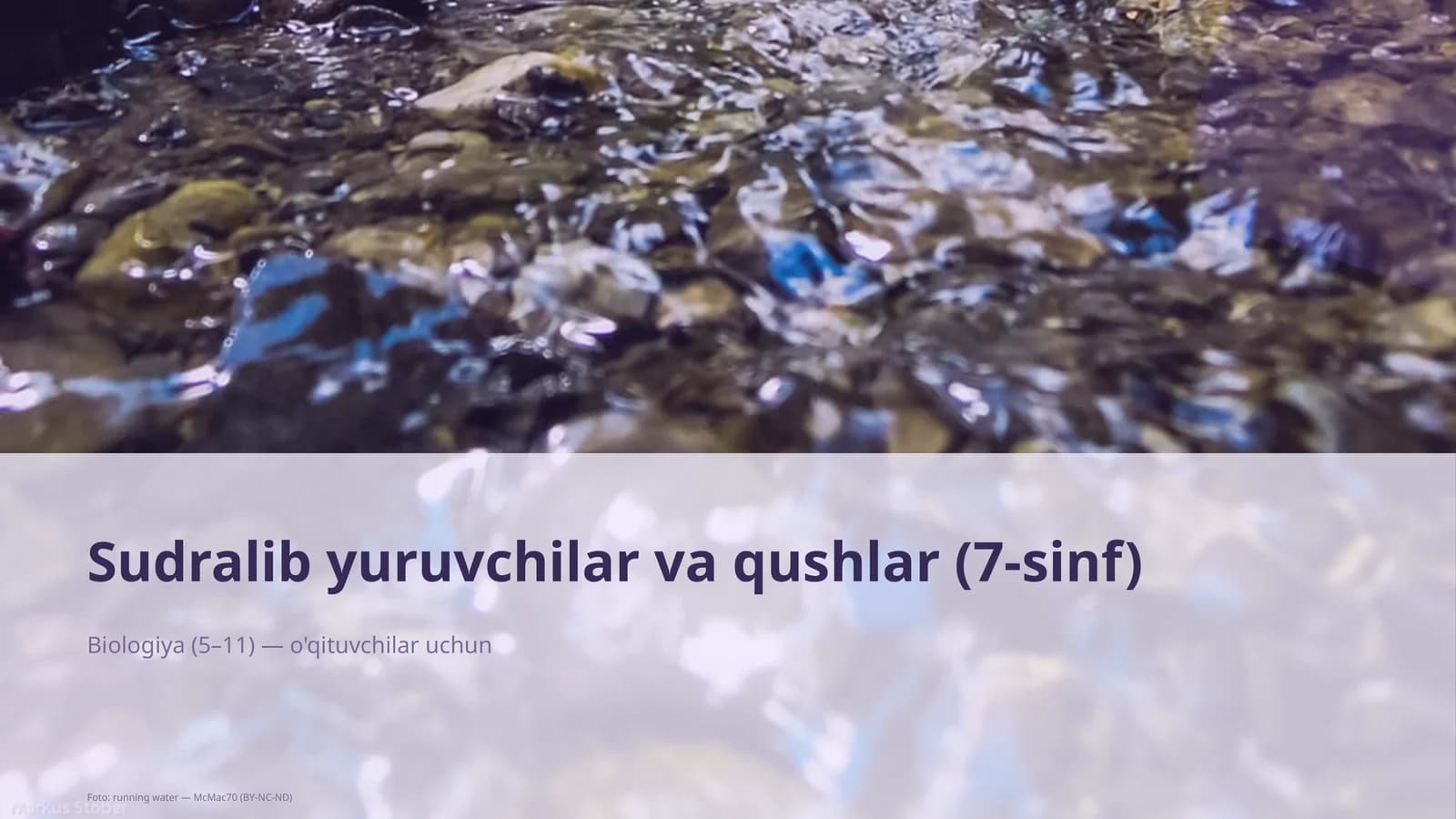 Sudralib yuruvchilar va qushlar (7-sinf)
