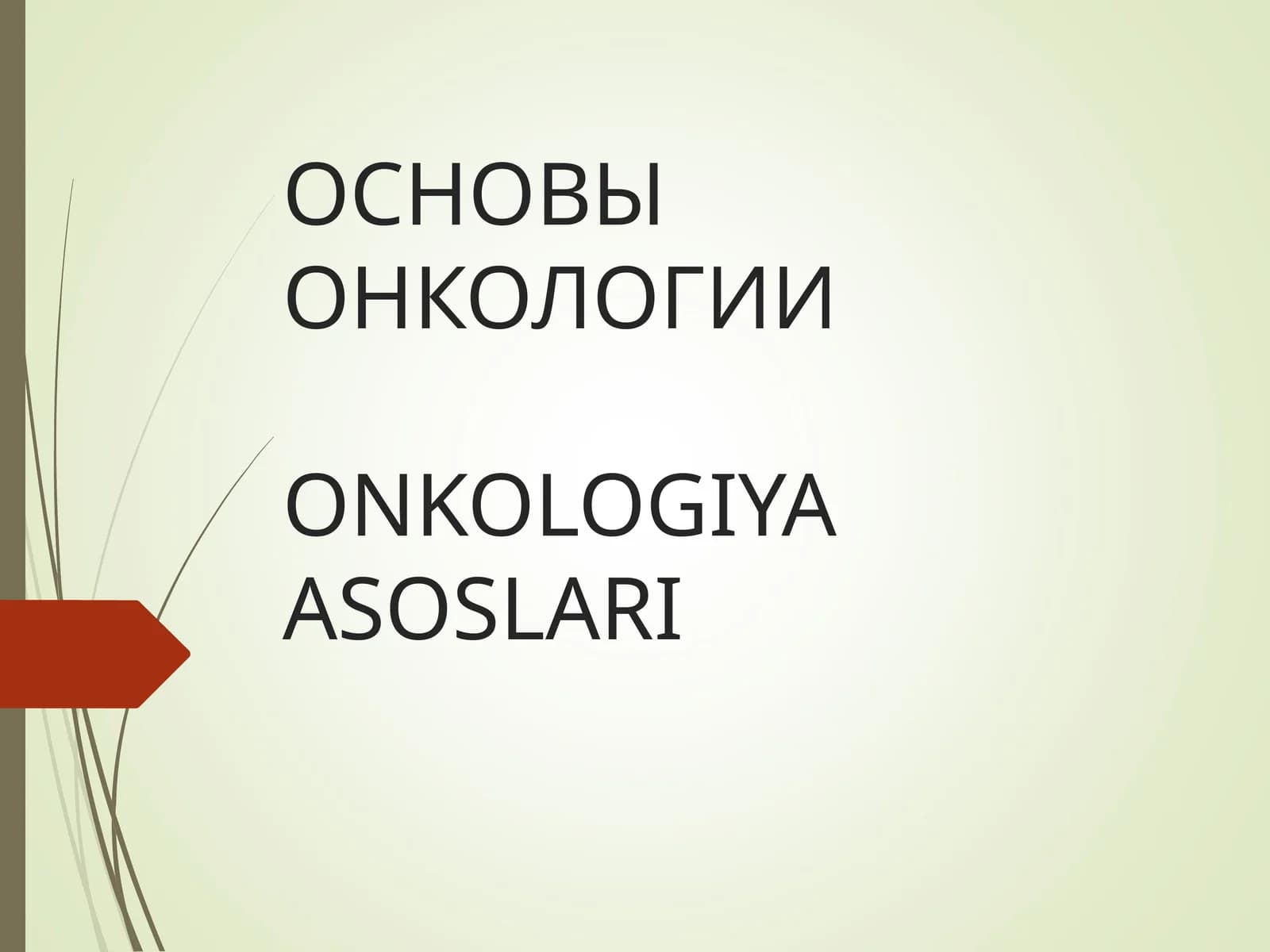 ОСНОВЫ ОНКОЛОГИИONKOLOGIYA ASOSLARI