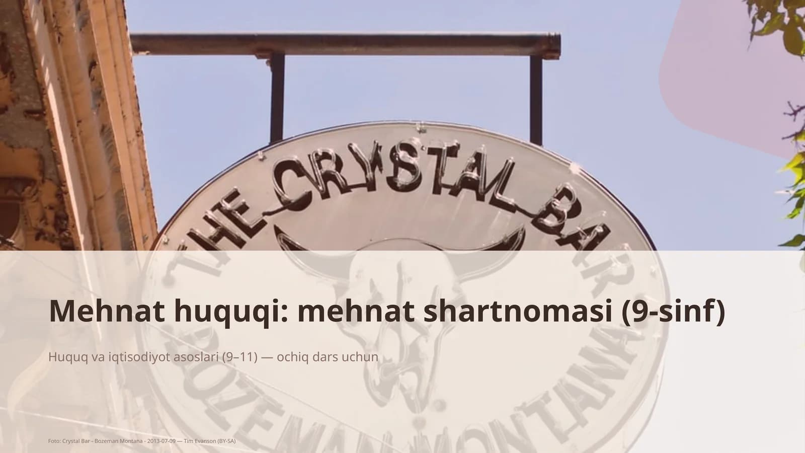 Mehnat huquqi: mehnat shartnomasi (9-sinf)