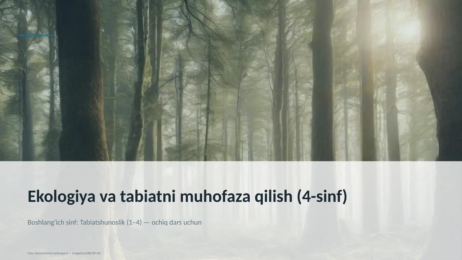 Ekologiya va tabiatni muhofaza qilish (4-sinf)