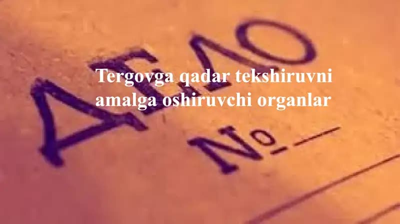 Tergovga qadar tekshiruvni amalga oshiruvchi organlar