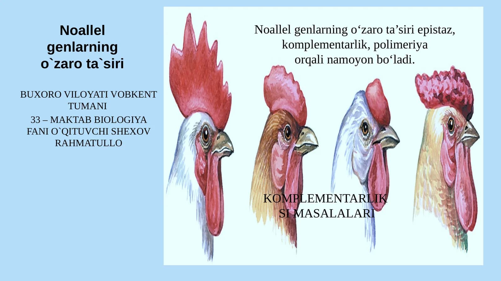 Noallel genlarning o‘zaro ta‘siri