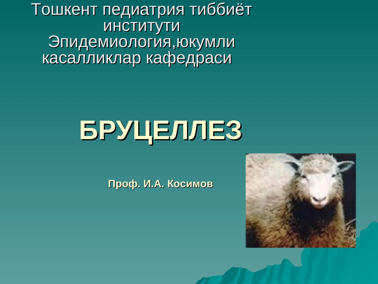 БРУЦЕЛЛЕЗ