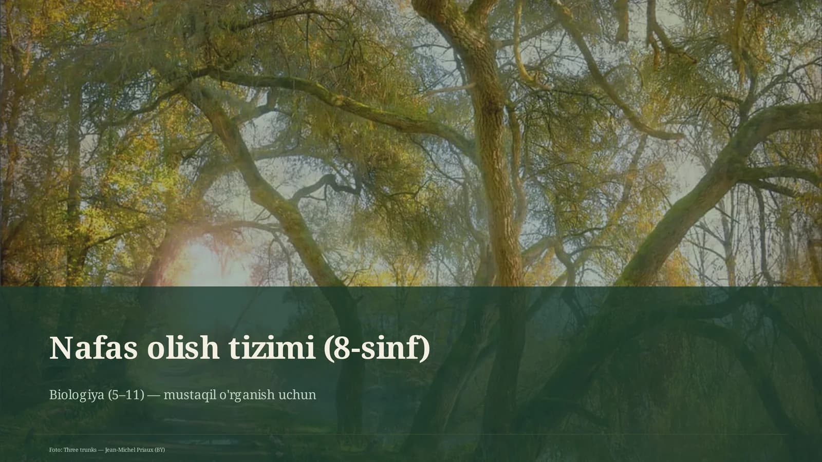 Nafas olish tizimi (8-sinf)