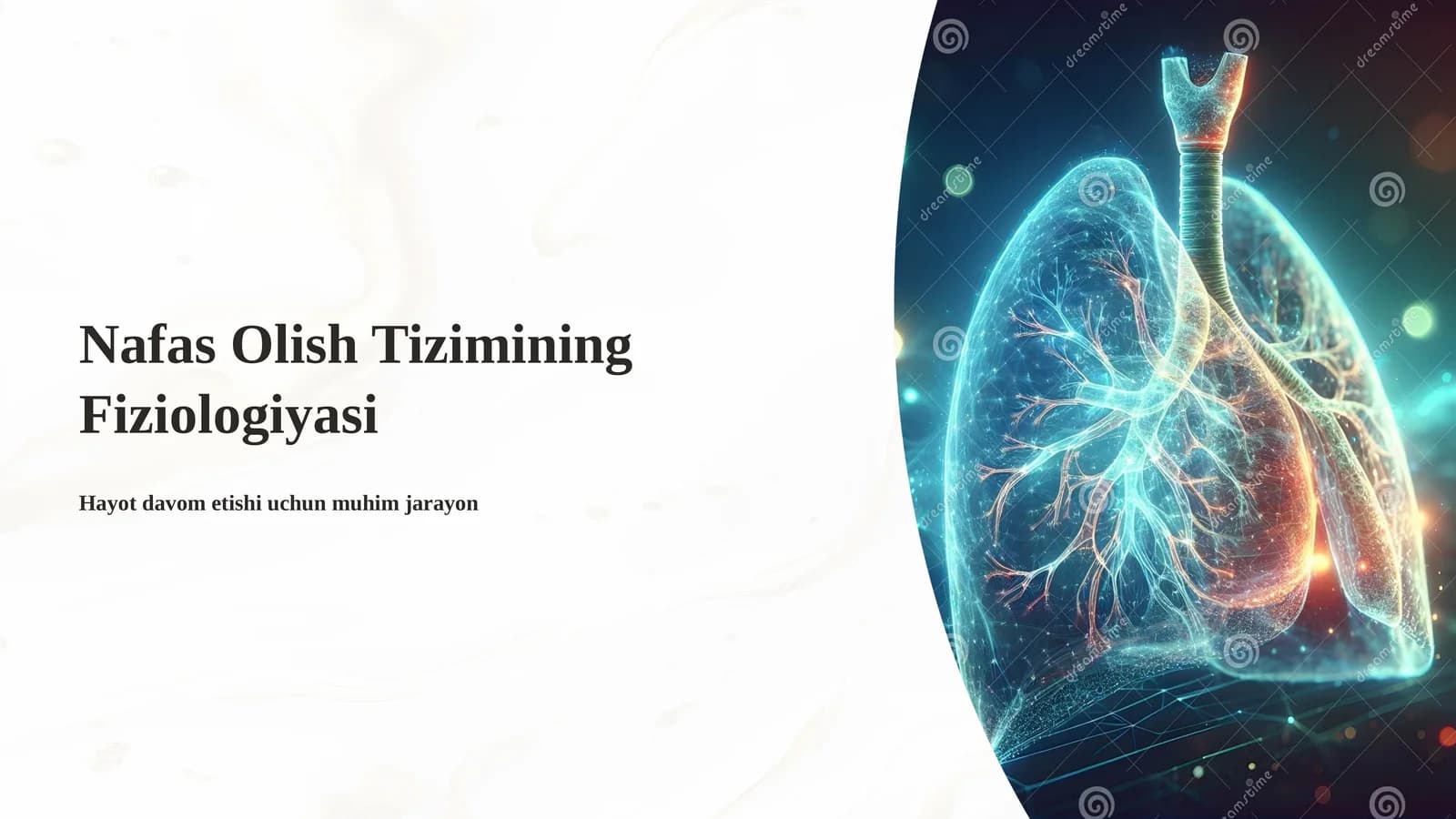 Nafas Olish Tizimining Fiziologiyasi