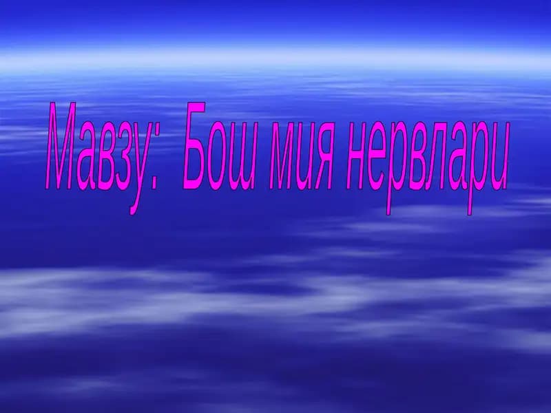 Бош мия нервлари