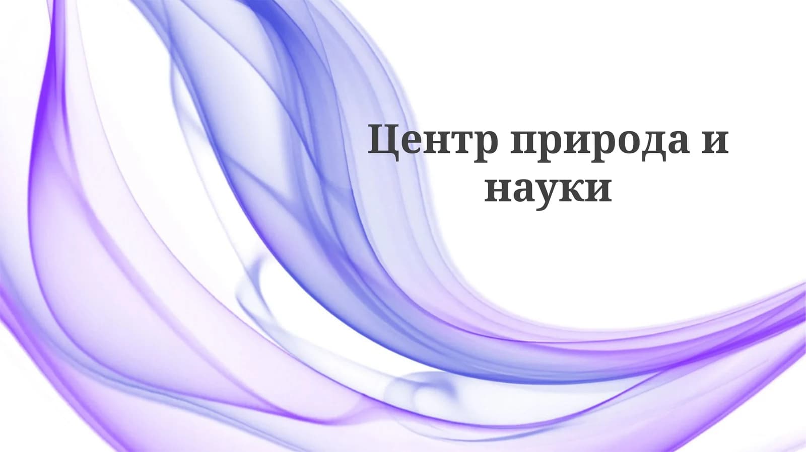 Выставки и программы