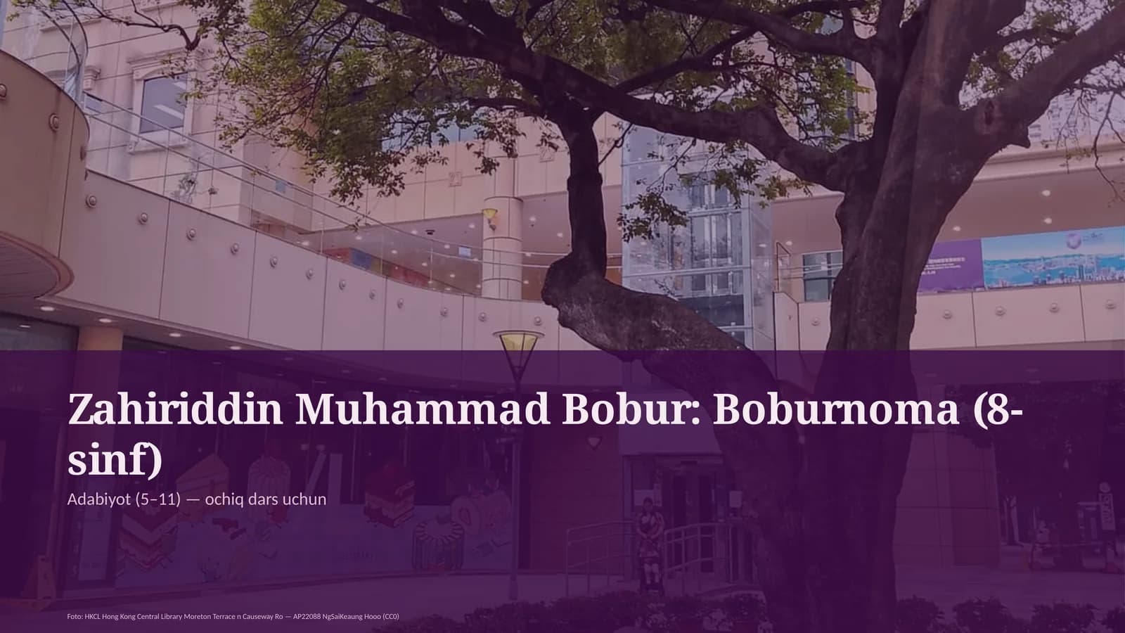 Boburnoma (8-sinf)
