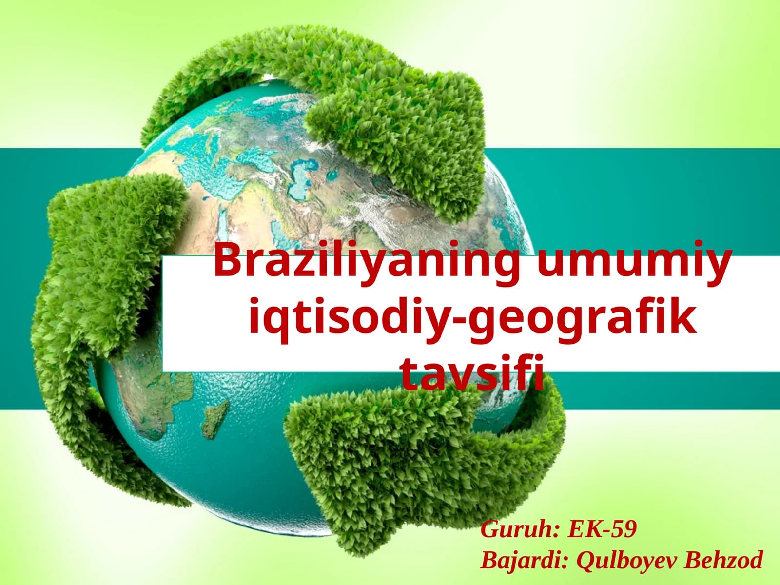 Braziliyaning umumiy iqtisodiy-geografik tavsi