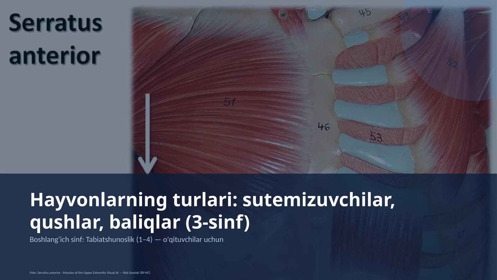 Tabiatshunoslik (1–