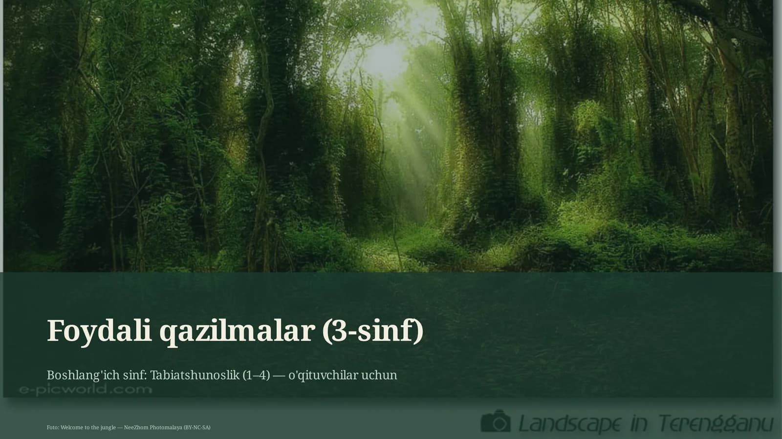 Foydali qazilmalar (3-sinf)