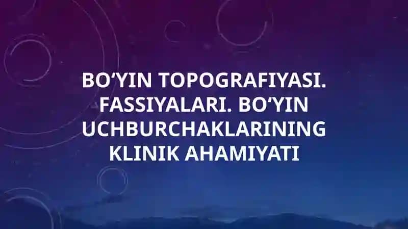 bo'yin topografiyasi