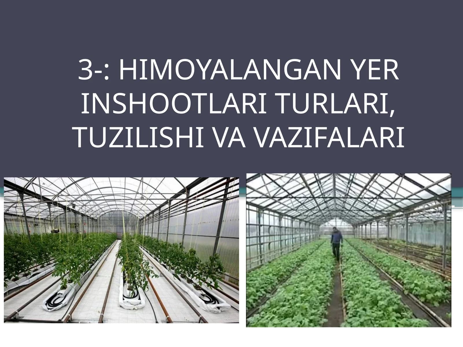 HIMOYALANGAN YER INSHOOTLARI TURLARI, TUZILISHI VA VAZIFALARI