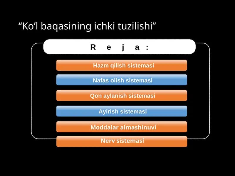 Baqaning ichki tuzilishi