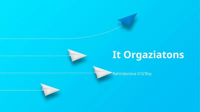 Rational Organizations