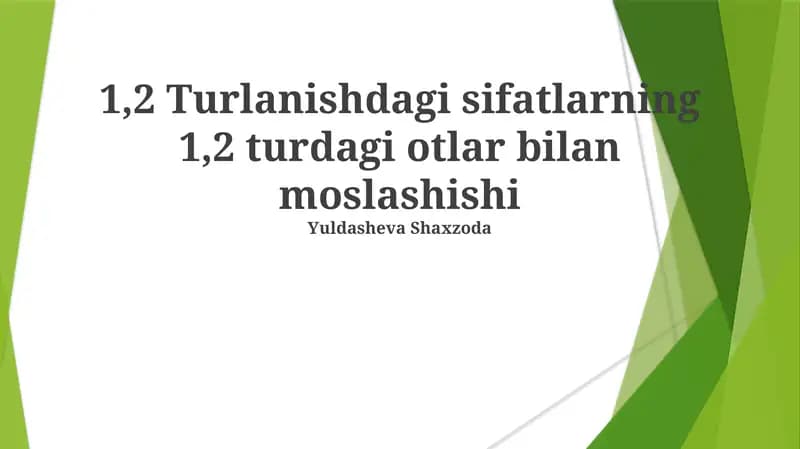 1,2 Turlanishdagi sifatlarning 1,2 turdagi otlar bilan moslashishi