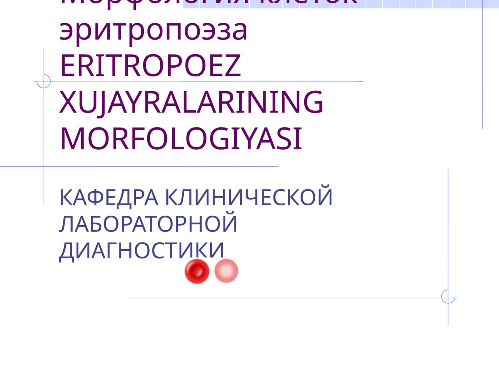 ERITROPOEZ XUJAYRALARINING MORFOLOGIYASI
