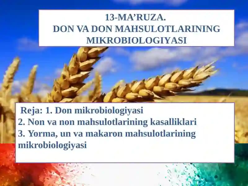 13-MA’RUZA.DON VA DON MAHSULOTLARININGMIKROBIOLOGIYASI