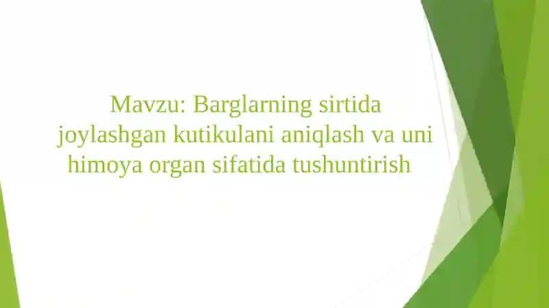 Barglarning sirtida joylashgan kutikulani qilish va uni himoya qilish