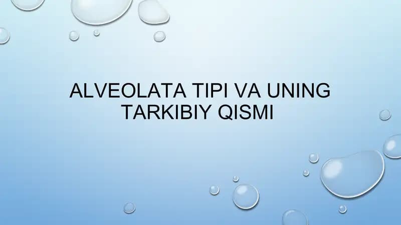 Alveolata tipi va uning tarkibiy qismi